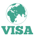 gallery/visa_icon